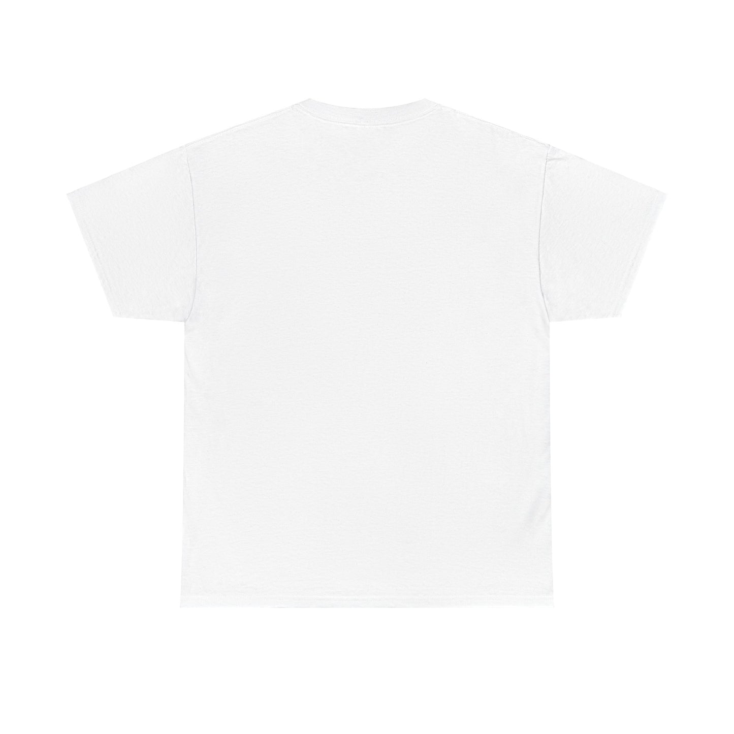 Devtera Divided Unisex Heavy Cotton Tee